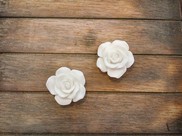 Rose in resina beige