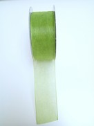 Nastro in organza colore verde grande